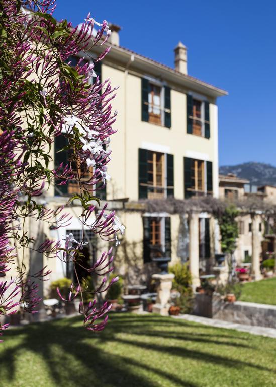 The Salvia - Adults Only 4* Soller